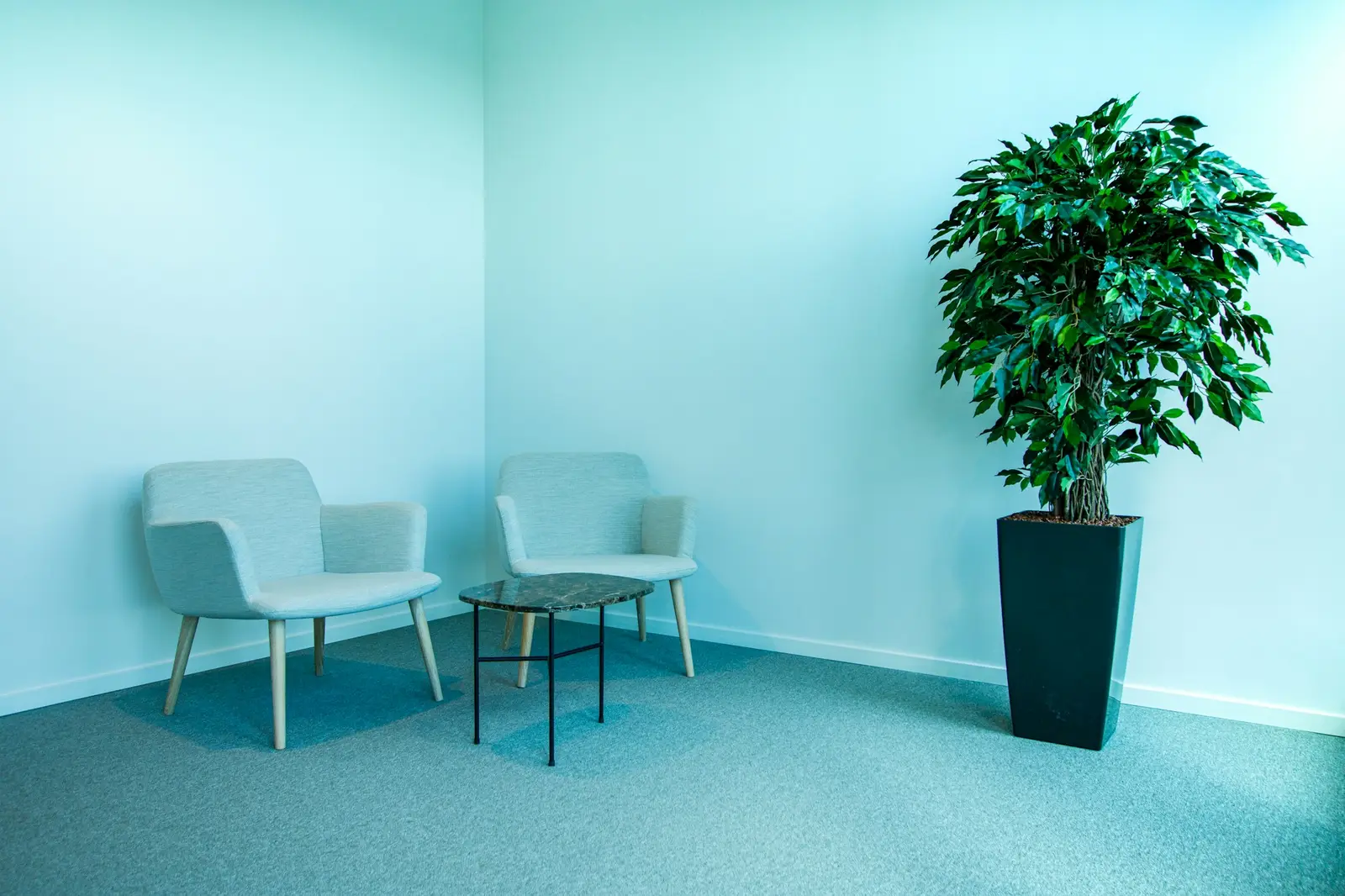 Sala de espera com duas poltronas vazias e um vaso de planta.